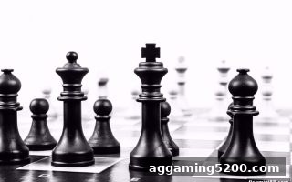 捕鱼达人小游戏助你精通LEAP电子麻将摸牌技巧：概率、决策与实战全解析