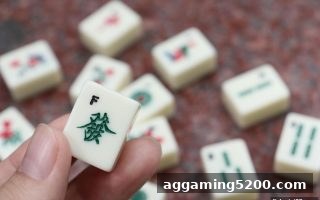 从捕鱼达人小游戏到牌九：掌握加注时机的完整攻略