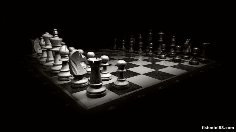 从捕鱼达人小游戏到棋牌策略：掌握核心玩法与长期胜率之道
