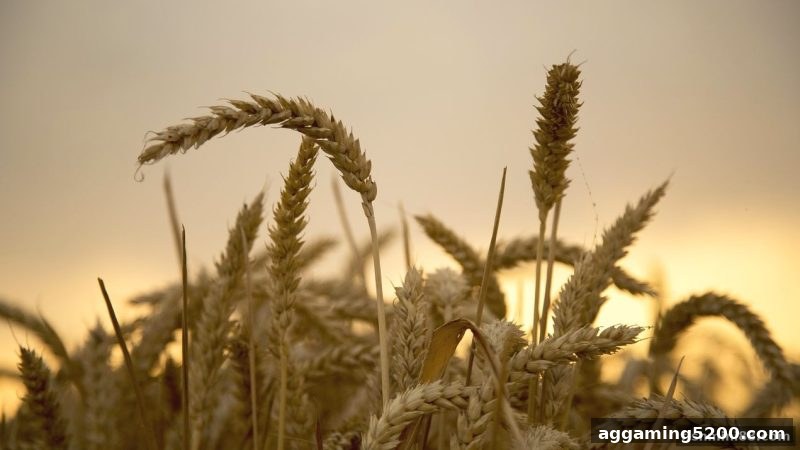 捕鱼达人小游戏启示：街机游戏竞争分析及止盈止损策略全解