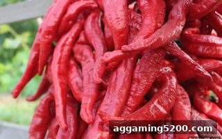 捕鱼达人小游戏背后的运营逻辑：PG电子与JDB游戏的差异打法与成功启示