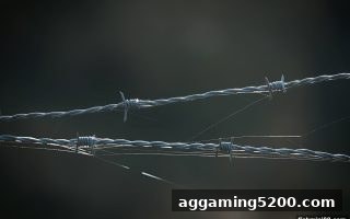 亚冠直播骗局深度拆解：捕鱼达人小游戏伪装下的平台陷阱