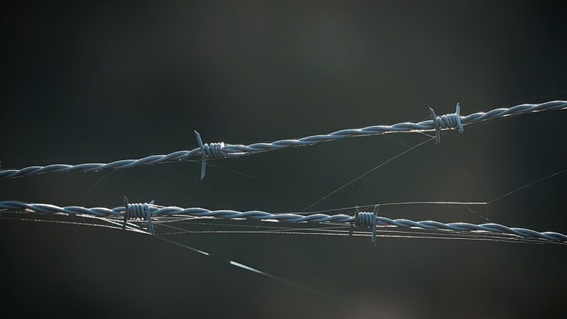 亚冠直播骗局深度拆解：捕鱼达人小游戏伪装下的平台陷阱