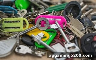 捕鱼达人小游戏玩家指南：马耳他游戏平台快捷支付用户评价全解析