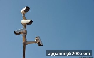 安全娱乐平台甄选指南：捕鱼达人小游戏带你剖析太阳城与华体会体育的可靠密码
